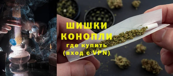 PSILOCYBIN Алексеевка