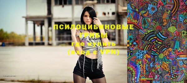PSILOCYBIN Алексеевка