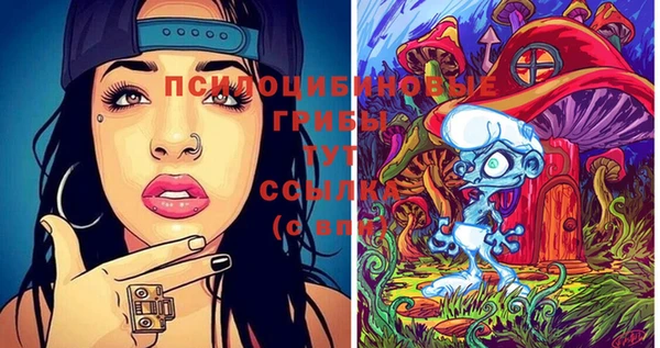 PSILOCYBIN Алексеевка