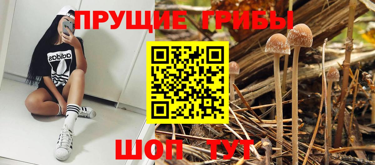Галлюциногенные грибы мицелий  Псилоцибиновые грибы GOLDEN TEACHER  Кропоткин  Вход с VPN 