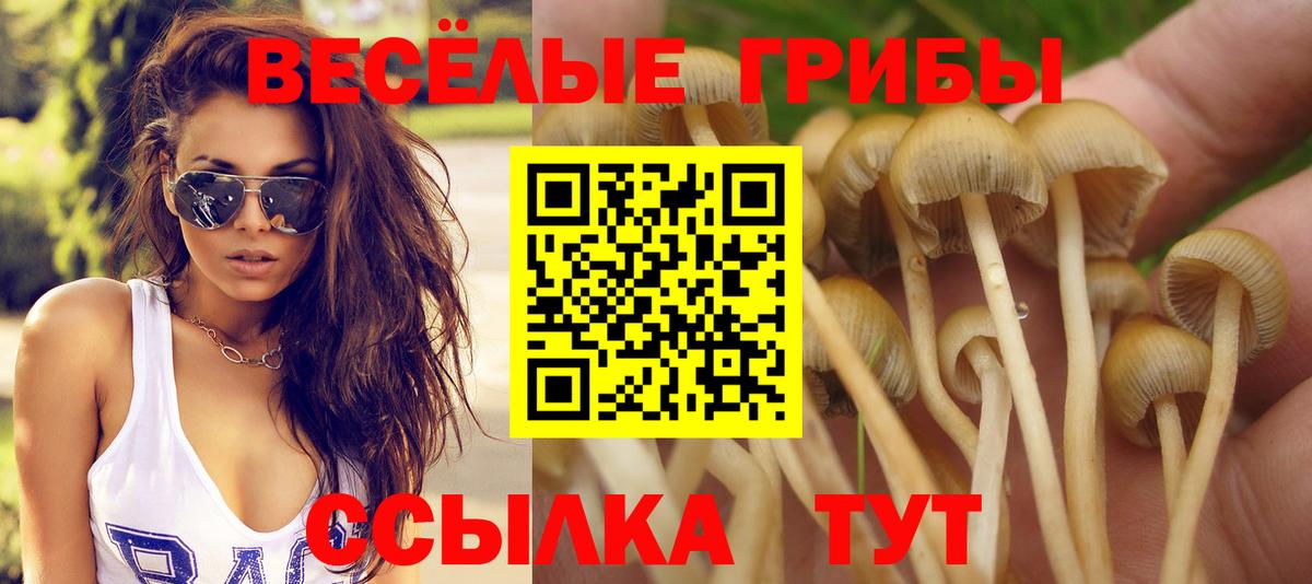 Меф МЯУ МЯУ кристаллы  NBOMe  Канабис  Вход с VPN  Кропоткин  МЕТАДОН  Гашиш  Альфа ПВП СОЛЬ кристаллы  МЕТАМФЕТАМИН  Конопля 